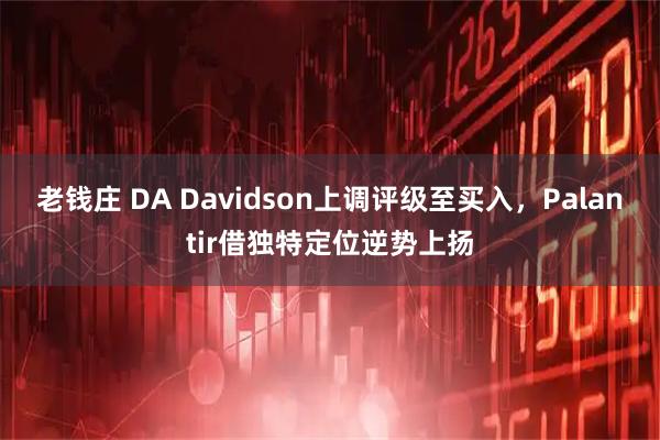 老钱庄 DA Davidson上调评级至买入，Palantir借独特定位逆势上扬
